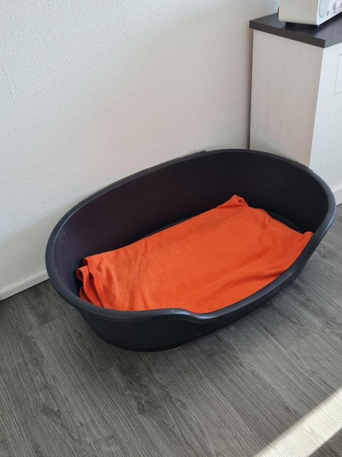 Ferienwohnung Annett & Matthias Hahnenklee Goslar Ngoại thất bức ảnh